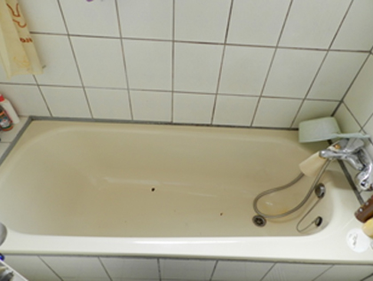 銀髮族走入式開門浴缸 工作實績